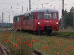 Mohnblumen und Ferkeltaxe 772 001/601,am 12.Juli 2015,bei der Einfahrt in Bergen/Rügen.