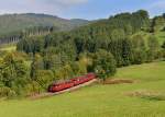 Der Schienenbus 998 840 + 798 776 + 798 706 der Passauer Eisenbahnfreunde bei einer Sonderfahrt auf der Ilztalbahn von Freyung nach Passau am 03.10.2012 unterwegs bei Werenain.