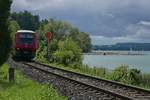 Bei berlingen-Goldbach fhrt 611 512, am 19.08.2017 unterwegs als IRE 3044 von Ulm nach Basel, am Bodensee entlang.