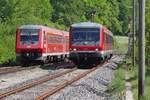 Da die wrttembergische Allgubahn eingleisig ist und 628 334 als RB 22842, Hergatz - Aulendorf, auch noch 10 Minuten Versptung hat muss der in Aulendorf gestartet 611 504 am 06.05.2011 nicht wie auf der Zugzielanzeige angeschrieben nach Stuttgart sondern als RB 22845 nach Kilegg in Roberg den Gegenzug abwarten.