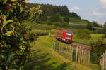 Kurz vor der Apfelernte. Ein 612 in der Bodolzer Kurve gen Lindau. 21.8.18