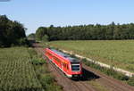 612 486-0 als RE 3563 (Nürnberg Hbf-Regensburg Hbf) bei Klardorf 3.9.19
