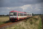 Am 2.9.17 fuhr der neg VT71 A/B (628 071-2/629 071-1) als RB65/Zug21 von Niebüll(-DB-)-neg mit 2 Kurswagen aus dem IC2072 und dem neg eigenem  Heizwagen  nach Dagebüll Mole.
Wie mann später erfahren  durfte  mit einer sehr Unfreundlichen Triebfahrzeugführerin, die eine lange diskusion anfing.
Hier bei Massbüll/Dagebüll.