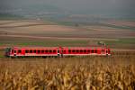 628 229 der Westfrankenbahn, unterwegs auf der Landesbahn in Niedersterreich. REX 7389, in der Morgensonne zwischen  Harmannsdorf-Rckersdorf und Mollmannsdorf. Das Foto enstand am 30.10.2010.