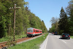 Hinter Forsting in Richtung Edling verläuft die KBS 948 Wasserburg (Inn) - Grafing Bahnhof direkt entlang der B304, natürlich noch mit der sehenswerten Telegrafenleitung.
So wurde 628 596-9 am 07.05.16 im Bild festgehalten, als er in Streckenhöchstgeschwindigkeit seinen nächsten Halt Forsting ansteuerte.