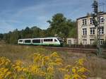 Am 31.08.2009 war ich auch schon mit der Bridgekamera in Oberkotzau und konnte den VBG Desiro auf der Fahrt nach Süden ablichten. Die Goldrute vorne macht einen farblichen Gegenpunkt zum blauen Himmel.....