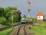 An der Ausfahrsignalgruppe in Blumenberg durchfhrt aus Richtung Magdeburg kommend eine Doppeltraktion Lint des HEX nach Halberstadt den Bahnhof am 14.05.2013