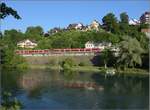 Zwei Talente 644 der Hochrheinbahn halten direkt oberhalb des kleinen Laufen. Im Gegensatz zum großen Laufen (dem Rheinfall) ist der nicht nur weggesprengt, sondern auch noch in den Fluten des Kraftwerks Laufenburg verschwunden. Früher war der Rhein hier eine gerade mal 12 Meter breite Stromschnelle. Mai 2017.