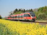 Ein 644-Doppel fhrt als RB23  Voreifel-Bahn  von Euskirchen nach Bonn Hbf an einem Rapsfeld zwischen Odendorf und Rheinbach vorbei.
Rheinbach, 19.04.2011