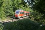 644 013 und ein weiterer 644 im Wald bei Honrath. Die RB 25 ist zwischen dem Klner Stadtrand und Overath fast vollstndig von Baumreihen und Wldern gesumt (6.9.13).