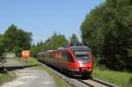 644 045 in Holzwipper am 19.05.14