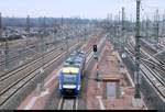 648 781-2 (VT 803) von Transdev Sachsen-Anhalt (HarzElbeExpress) als HEX80507 (HEX 4) von Goslar nach Halle(Saale)Hbf fährt neben der Zugbildungsanlage (ZBA) Halle (Saale) auf der Bahnstrecke