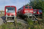 Zwischen zwei Regio Shuttle - Whrend 650 316 von Radolfzell kommend in den Zielbahnhof Friedrichshafen Stadt einfhrt, werden 218 427-3 und 650 014 am Sptnachmittag des 26.09.2018 von der Sonne beschienen. Aufnahmestandort war der Fugngerweg an der Olgastrae.