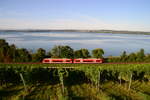 2 650er als RB nach Überlingen am 07.08.2017 am Kloster Birnau an der Bodenseegürtelbahn