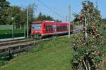 Wenige Minuten nach der Abfahrt in Lindau-Insel befindet sich 650 106 als RB 92 / 17828 auf der Fahrt nach Aulendorf. Bodolz, 24.09.2021