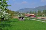 650 026 und 650 010 mir RB 22968 Metzingen-Bad Urach.Aufnahme entstand in Dettingen an der Erms am 13.4.2014