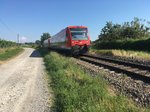 Am 31.08.16 fuhr 650 003 und 650 014 als Rb 22766 (Friedrichshafen Stadt - Radolfzell) bei Kloster Birnau 