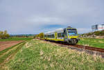 VT 650 737-9 fährt als ag 84589 (Bad Rodach - Marktredwitz) kurz vor der Haltestelle Wiesenfeld (b Coburg) vorüber.
Aufgenommen am 12.4.2017.