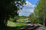 650 070 + 650 075 + 650 076 als WBA4 am 19.05.2017 bei Patersdorf.