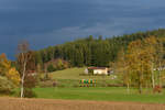 650 071 als WBA4 am 02.11.2017 bei Ruhmannsfelden. 