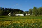 Frühlingsgefühle? Ja bei dem Bild..... Ein Agilis 650 , aufgenommen hinter Selbitz an der grossen Blumenwiese im Tal des Rothenbaches. Dazu blauer Himmel und Abendsonne, was will man mehr. Auf einen 798 oder ne V100 braucht man nicht mehr warten, das war mal ....leider.