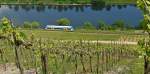 . Etwas spter fuhren wir in den Nachbarort von Pnderich, nach Reil an der Mosel. Durch diesen Ort verluft die Moselwein Strecke Bullay - Traben-Trarbach. Diese schne Strecke ist noch mit Telegrafenmasten ausgestattet und kann von oben aus den Weinbergen in Reil eingesehen werden. 
Der Stadler RegioShuttle 650 351 der Rhenus Veniro GmbH & Co. KG hat am 13.05.2015 die Haltestelle Reil verlassen und fhrt als RB 85 (Moselwein-Bahn) Traben-Trarbach - Bullay an der Mosel entlang dem Endbahnhof entgegen. Bahnstrecke 3112 Pnderich - Traben-Trarbach (Jeanny)
