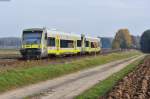 Zwei Triebwagen der Baureihe 650 als Überführung nach Weiden bei Oberteich, 02.11.2014