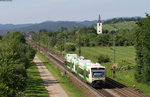 VT 016 und VT 008 als BSB88471 (Waldkirch-Freiburg(Brsg)Hbf) bei Denzlingen 10.6.16