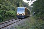 Anlässlich des Mobilitätstages veranstaltete der Verein Pro Kaltenleutgebner Bahn am 22.September 2017 mehrere Fahrten zur Ladestelle Waldmühle.