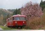 Am 26. April 2015 ist 798 731-6 mit 998 744-7 der Eisenbahnfreunde Rodachtalbahn in Steinwiesen unterwegs. Erst Frühlingsblüten säumen den Weg.