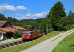 Der Schienenbus der Passauer Eisenbahnfreunde 798 706 + 998 840 + 798 776 bei einer Sonderfahrt auf der Ilztalbahn am 15.08.2013 bei Neuhausmühle.