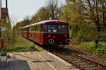 Im Wirbel des durchfahrenden Triebwagen nach Dorsten in Wulfen kann sich so manch altes Blatt des Vorjahres nicht halten und flattert auf den Bahnsteig. 1.5.2016