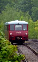 LVT 171 056-5 der Wisentatalbahn. Foto 01.06.2013