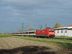 Niederschopfheim - 30.10.17 : vielleicht meine letzte Fototour vor dem Aufbau der Lärmschutzmauer.