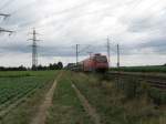 101 118-8 mit EC7 von Dortmund Hbf nach Chur.Dieser Zug wurde wegen Bauarbeiten ber Gro-Gerau umgeleitet.Am 03.08.08 bei der durchfahrt in Lampertheim.