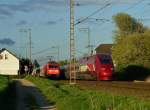 Seltene Begegnung auf der Kbs 485.
Der Thalys 4322 begegnet hier am Bü Dahler Weg in Wickrath dem IC 2223 am Abend des 14.4.2014. Grund für dieses seltene Schauspiel ist die Sperrung der Kbs 480 wegen Brückenbauarbeiten in Düren. Die Strecke ist diese Woche noch gesperrt. Da lohnt ein Ausflug ins Rheinland.