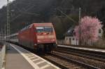 Einen Blütengruß vom Ostermontag.
Hier kommt er quasi aus Hirzenach, mit der 101 109-7 und schweizer IC-Wagen aus
St. Goar kommend. 6.4.2015