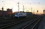 Ruhe. 101 027-1 abgestellt im Gleisvorfeld des Nürnberger Hauptbahnhofs. Aufgenommen am 19.12.2015.