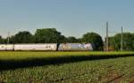 ###Die Werbelok des Wochendes in Mangolding###
Dieses Wochende hing 101 102 am IC 2024. In krze wird er Regensburg Hbf erreichen und nach einem kurzen Halt um 07:45 weiter fahren. 

(Mangolding, 04.06.2010)