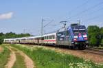 DB Fernverkehr 101 042  ECOPHANT  mit IC 2213 Ostseebad Binz - Stuttgart Hbf (Vehrte, 19.05.14).