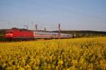 120 102-9 mit IC von Leipzig nach Kln hier kurz vor Sonnenuntergang zwischen Neuenbeken und Benhausen, 01.05.2011.