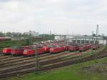 Hier sind insgesamt 21 E-Loks im Mannheimer Rbf zusehen und zwar Loks der Baureihe 140,145,155 und 185.