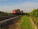 DB 145 051-9 mit dem TEC 40097 von Muizen (B) nach Gallarate (I), bei Erbach (Rheingau); 06.10.2010