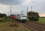 23.9.2016 bei Schönermark, Berlin - Stettiner Bahn. 145 086 RheinCargo + 145 092 Richtung Stendell