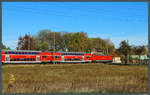 Eine 146er passiert mit dem RE 30 Halle - Magdeburg die Blockstelle Braschwitz.