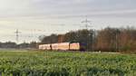 DB Regio 146 103 mit RE 9 (4454) Osnabrück Hbf - Bremerhaven-Lehe (Marl, NI, 05.12.18).