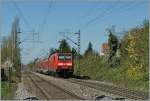 Frühling bei Allensbach: Die DB 146 232-4 schiebt den  Schwarzwälder  RE Richtung Karlsuhe.