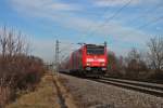 Am 18.01.2014 bespannte die Freiburger 146 231-6 einen RE von Offenburg nach Basel Bad Bf, als sie südlich vom Hp Buggingen ihrem nächsten Halt in Müllheim (Baden) entgegen fuhr.