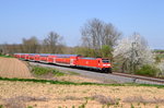 146 218 mit RB 19121 Neckarsulm - Stuttgart Hbf am 20.04.2016 bei Lauffen