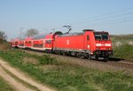 146 238 mit RE 5345 (Offenburg–Basel Bad Bf) am 22.04.2015 zwischen Buggingen und Mllheim (Baden)